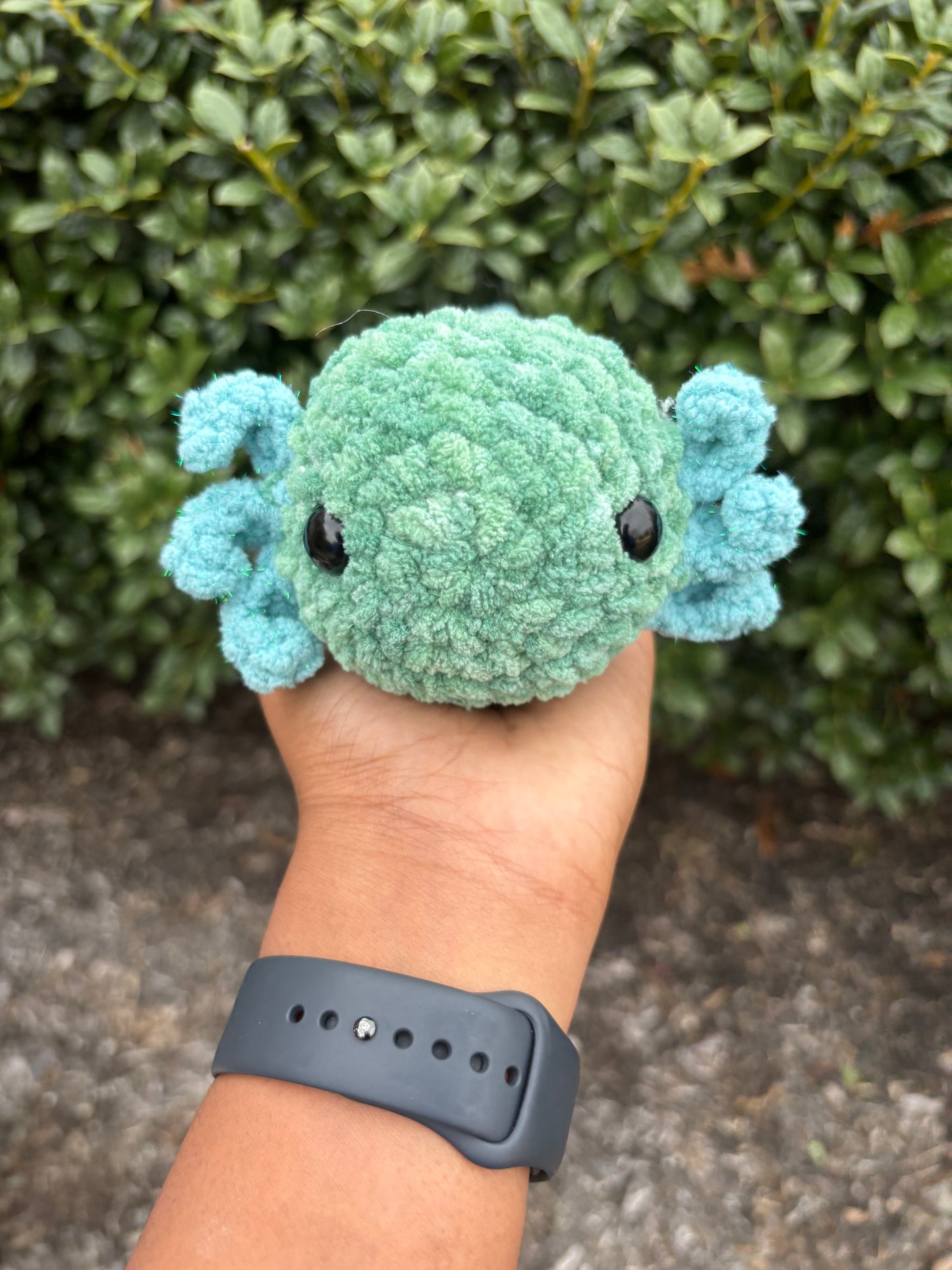 Spearmint & Seaside Sparkle Axolotl