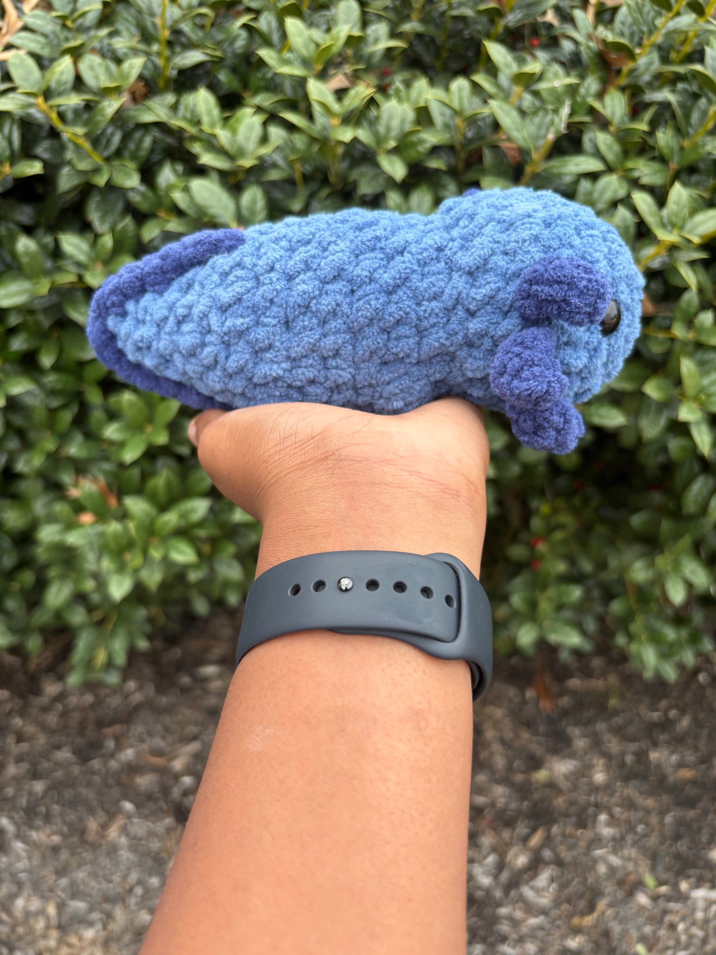 Denim Blue & Navy Blue Axolotl